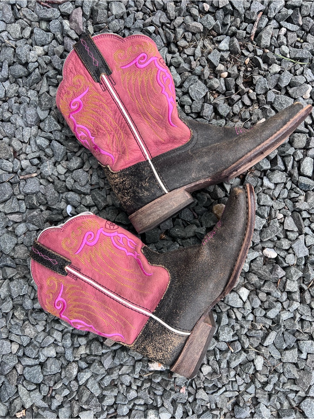 Ariat boots
